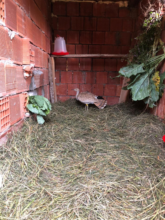 Onun adı artık 'Lazize'