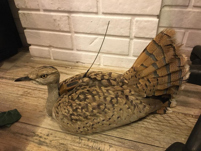 Onun adı artık 'Lazize'