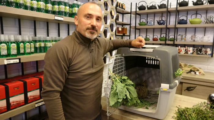 Onun adı artık 'Lazize'