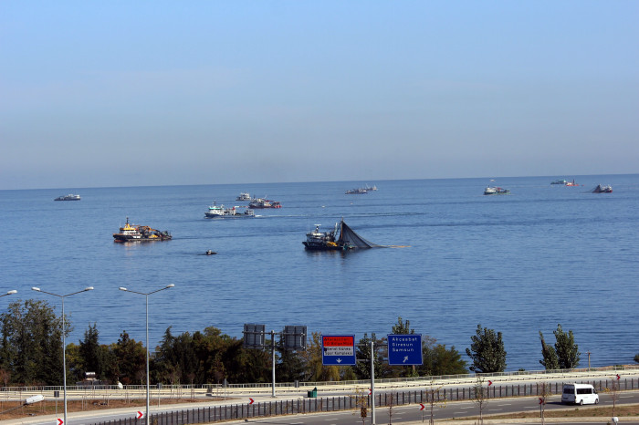 Balıkçı tekneleri sahile akın etti, görsel şölen oluştu