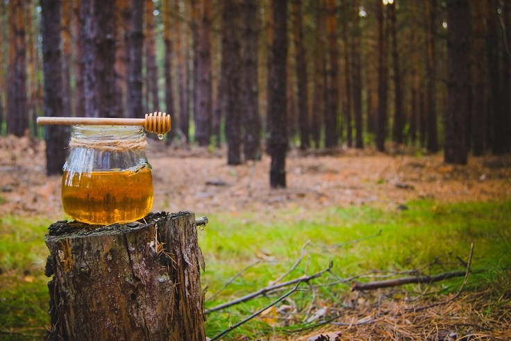 T&uuml;rk &ccedil;am balı i&ccedil;in Ar-Ge atağı