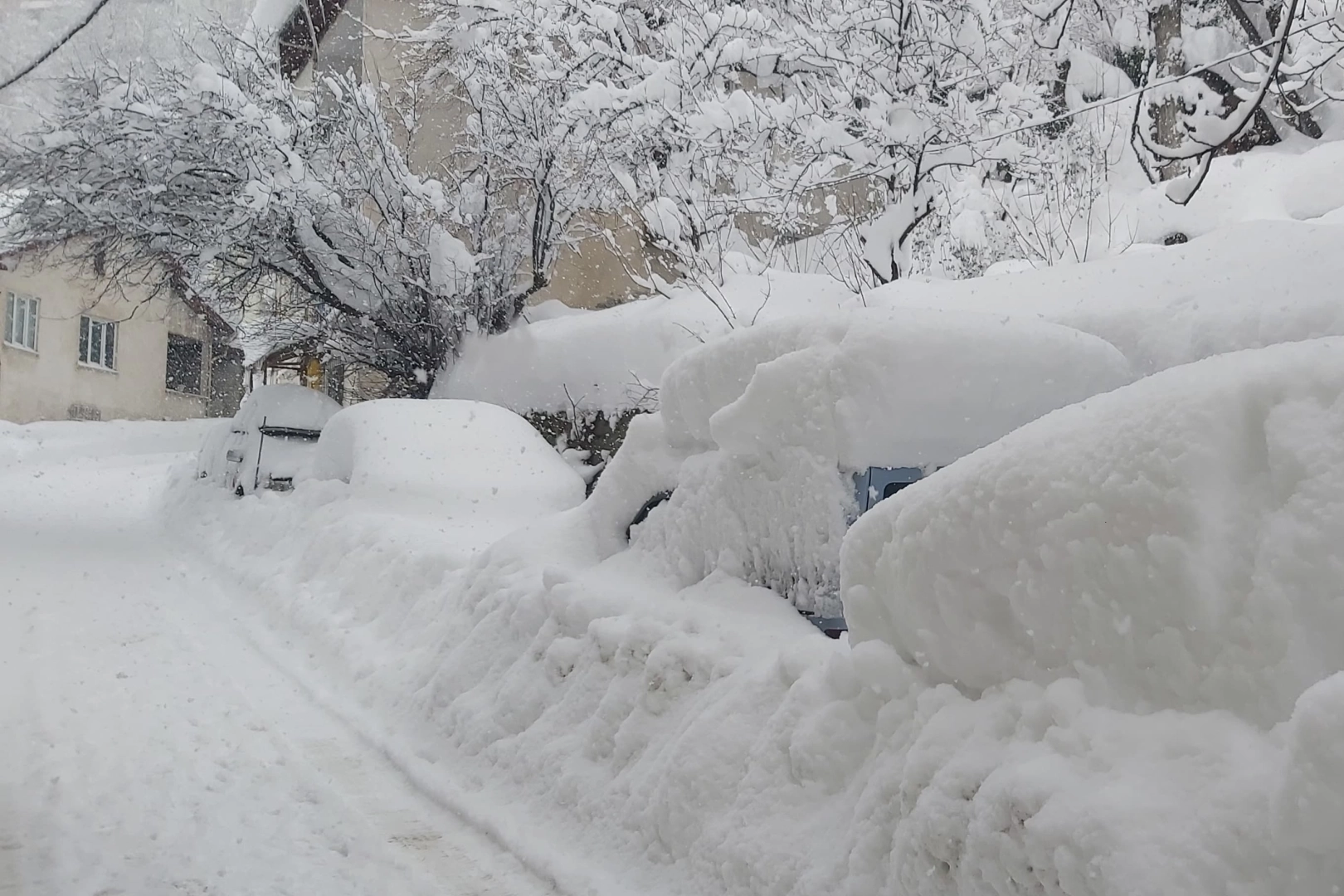 AFAD'dan Doğu ve Batı Karadeniz ile Doğu Anadolu'ya &ccedil;ığ uyarısı!