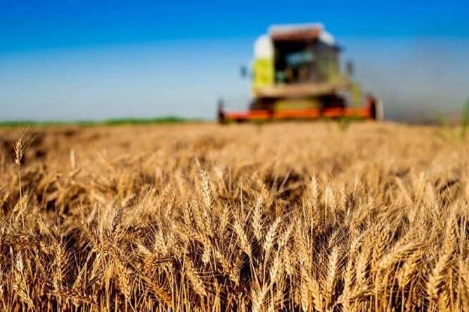 Kırsal kalkınmaya b&uuml;y&uuml;k destek! Tarım ve Orman'dan 30 milyon TL&rsquo;ye kadar hibe!