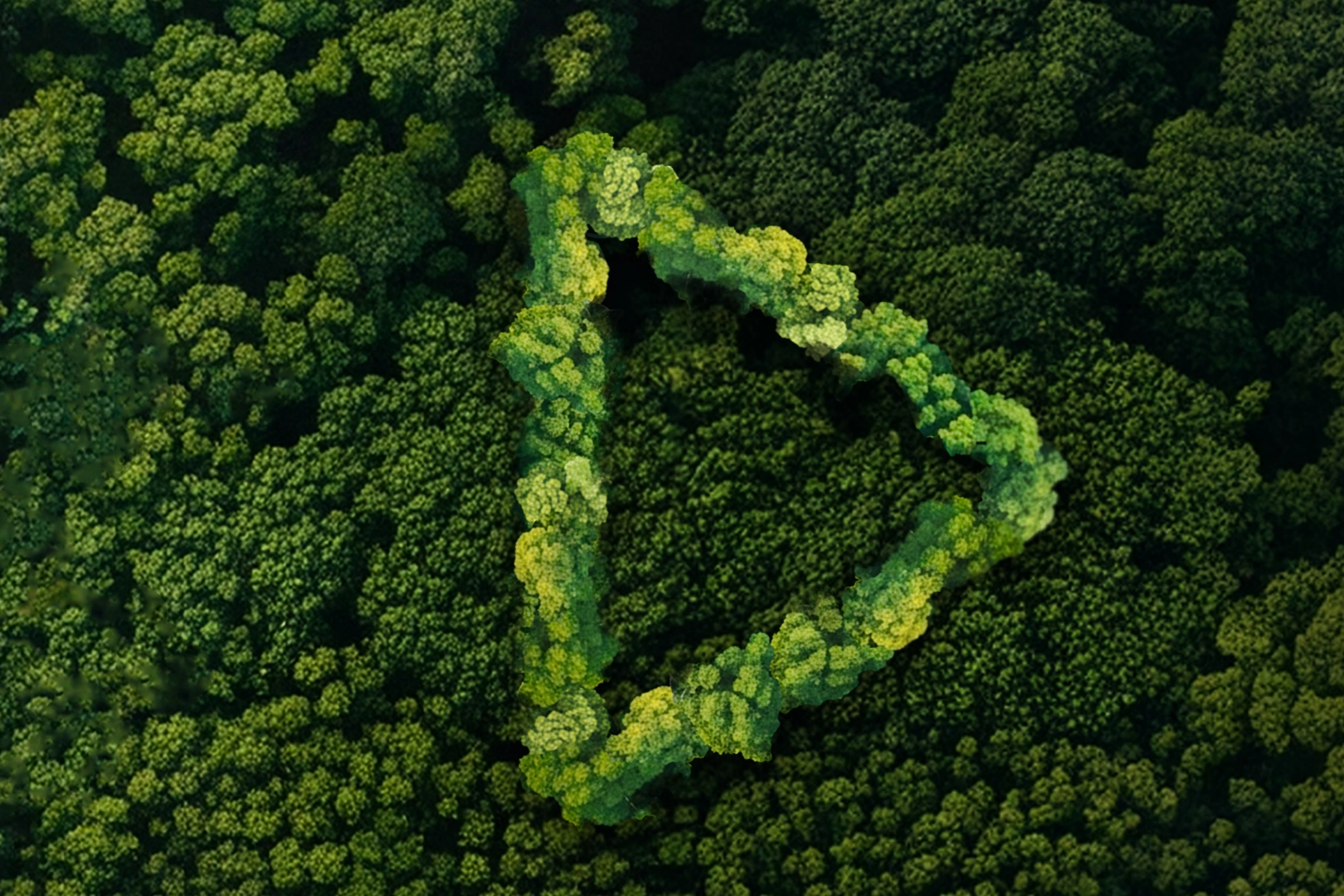 Yeşil Vatan finalistleri belli oldu! &Ouml;d&uuml;ller 19 Ocak'ta