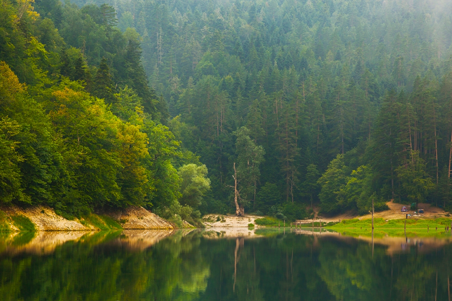 Milli parklar ve doğa korumada yeni d&ouml;nem! Kanun teklifi TBMM'de kabul edildi