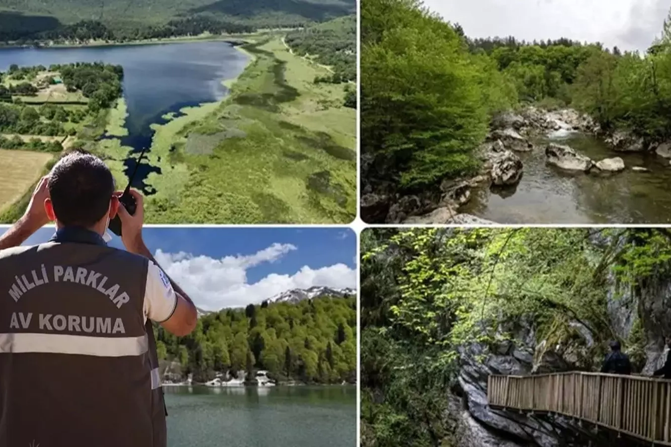 Doğa Koruma ve Milli Parklar Uzmanlığı i&ccedil;in 'tez' zorunluluğu