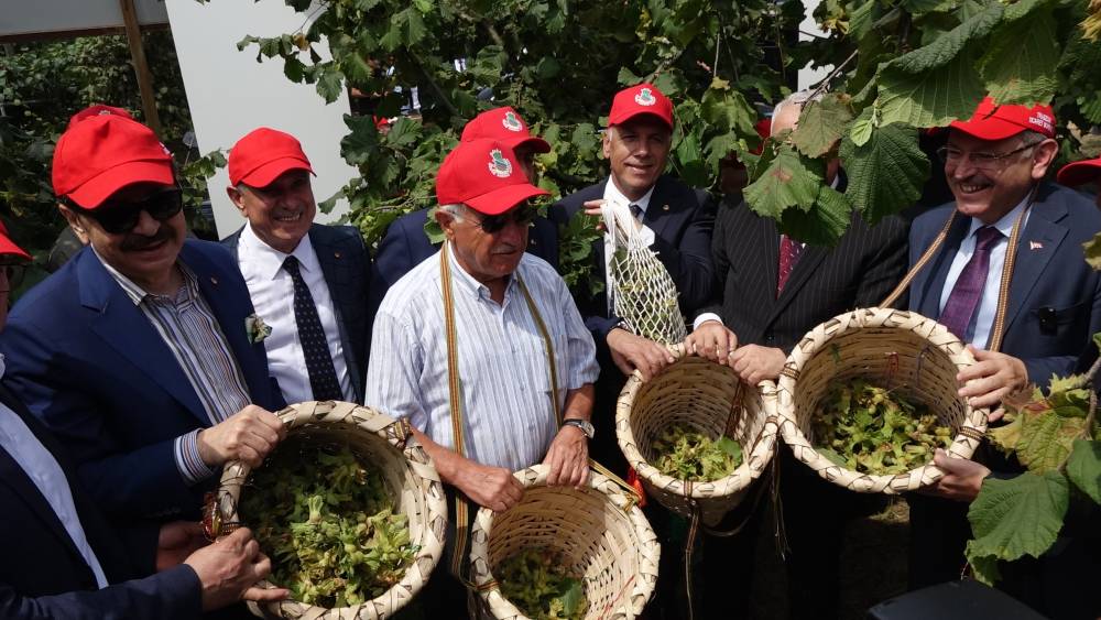 Trabzon'da 'Dünya Fındık Haftası' etkinliği 