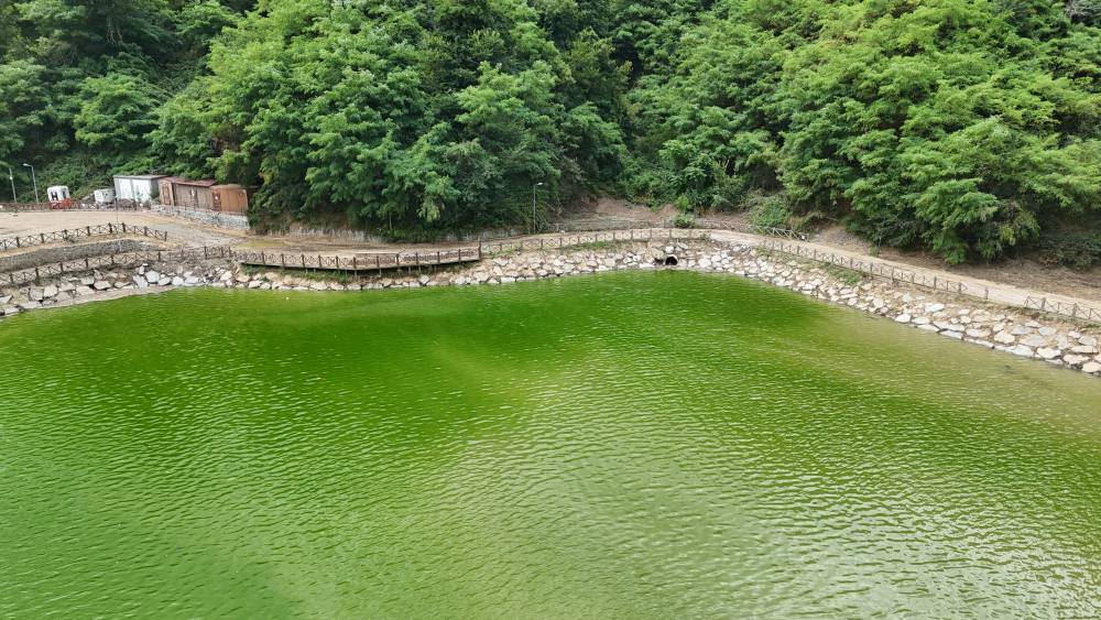 Trabzon'da 30 kamyon çöp çıkarılan Sera Gölü, berraklaştı