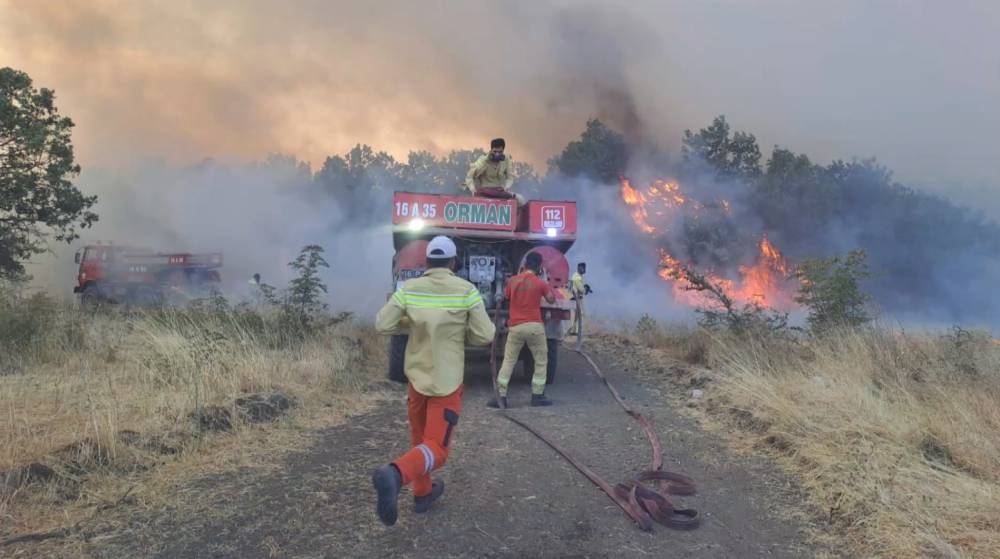 Bursa'da orman yangını