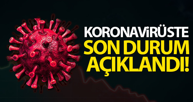 Türkiye 4 şubat koronavirüs tablosu