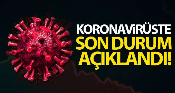 T&uuml;rkiye 4 şubat koronavir&uuml;s tablosu