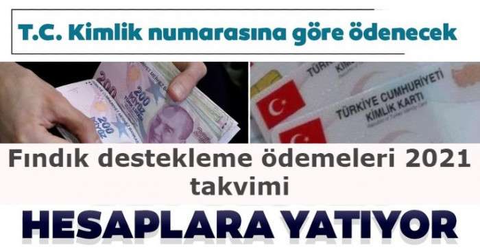 Fındık destekleme ödemeleri 7 Mayıs cuma gününden itibaren TC kimlik numarasının son rakamlarına göre ödenecek
