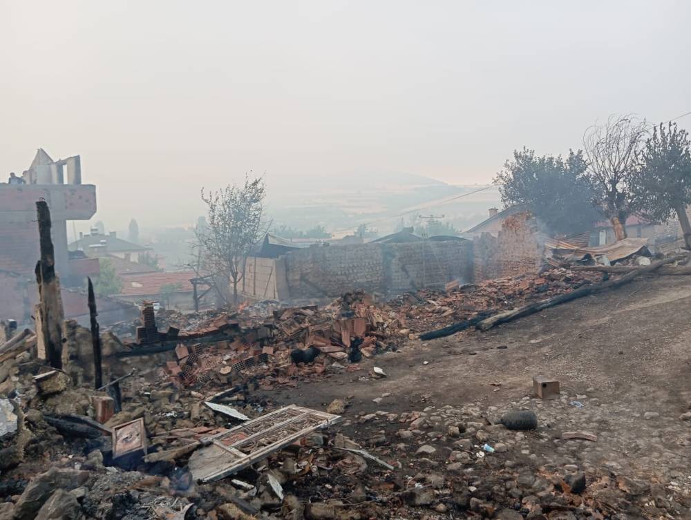 Sakarya'da orman yangını: Taşoluk Mahallesinde 3 ev kül oldu