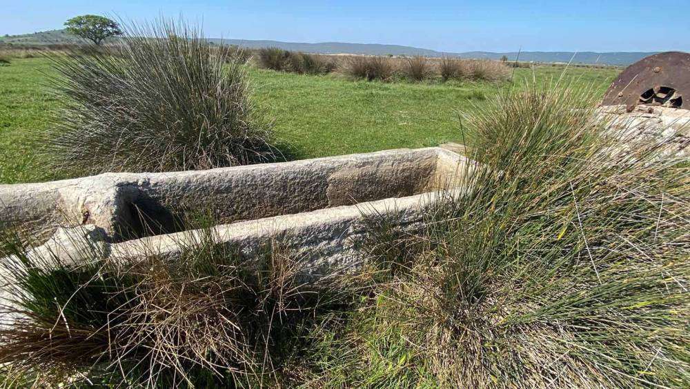 Çanakkale’de, İngiliz ve Fransızlar arkeolojik kazı yapıp, buldukları eserleri ülkelerine götürmüş