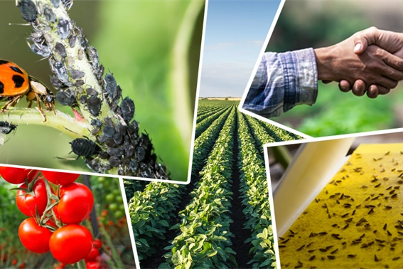 Tarımsal &uuml;retimi destekleyecek &ouml;nemli d&uuml;zenleme... Tarımsal destek &ouml;demelerine ayar