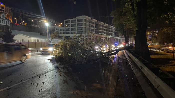 Trabzon'da şiddetli rüzgar etkili oldu