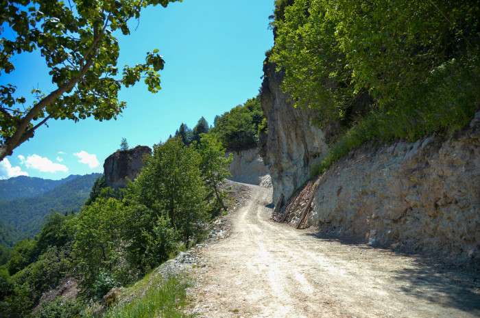 Trabzon'da felçli eşini sırtında taşımak zorunda kalan kadının yol isteği yerine getirildi