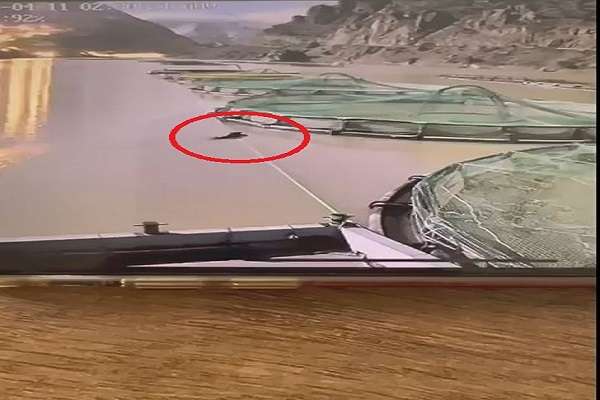 Ayının su ürünleri tesisindeki balıkları yiyip uzaklaştığı anlar kamerada