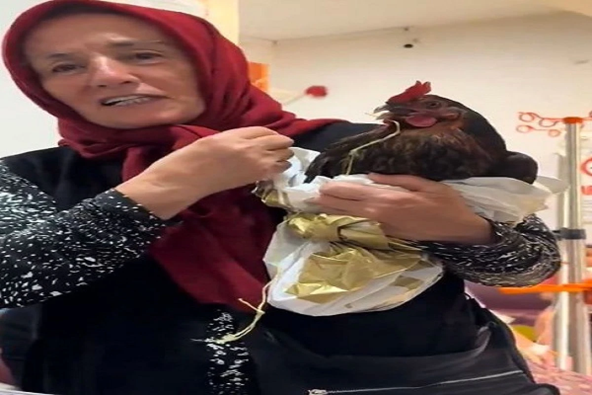 Boğazına iğne kaçan tavuğu için hastanede röntgen talebinde bulundu