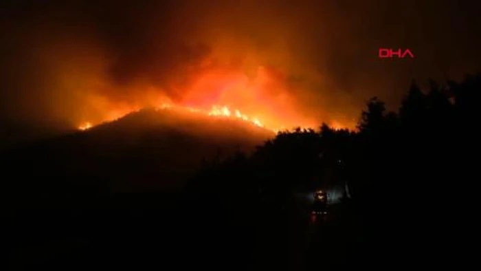 Bursa'da orman yangını (5)