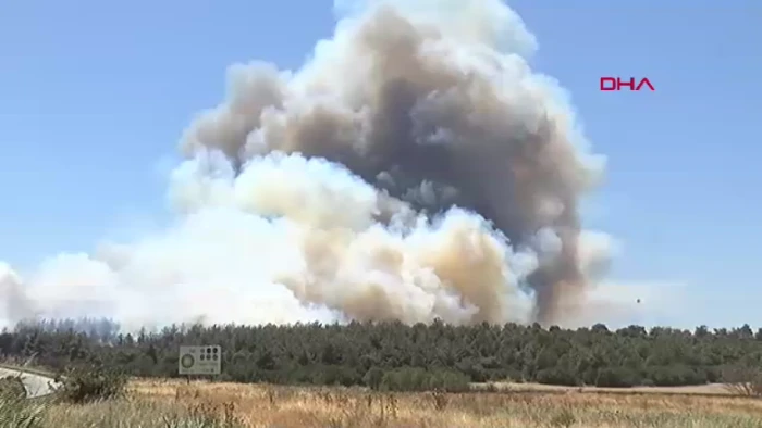 Çanakkale'de orman yangını; 1 köy tedbiren tahliye edildi