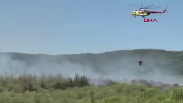 Çanakkale'de orman yangını