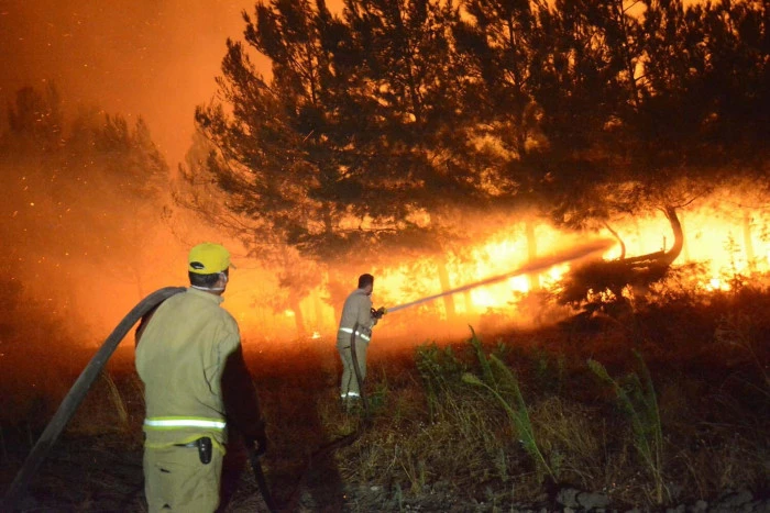 Çanakkale'de orman yangını 2'nci gününde 