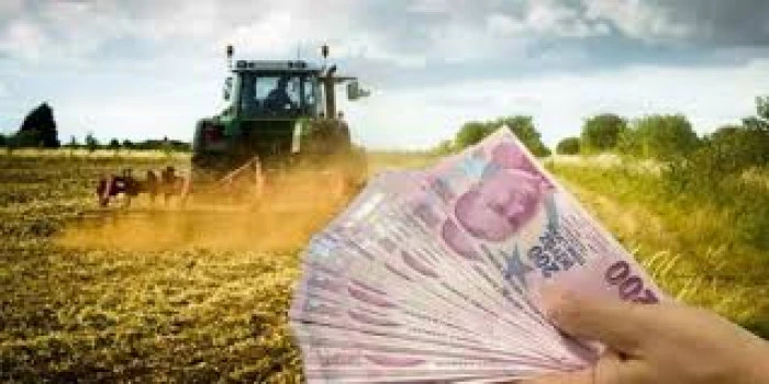 Çiftçilerin 2026 üretim yılına ilişkin ÇKS başvuruları, 1 Eylül'de başlayacak 