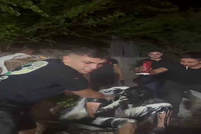 Damada motor yağlı, yumurtalı, ketçaplı şaka kamerada