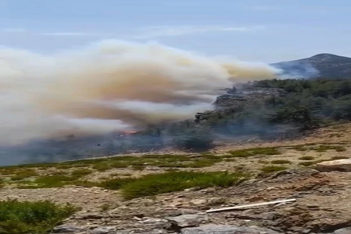 Mersin'de 3 ayrı noktada orman yangını