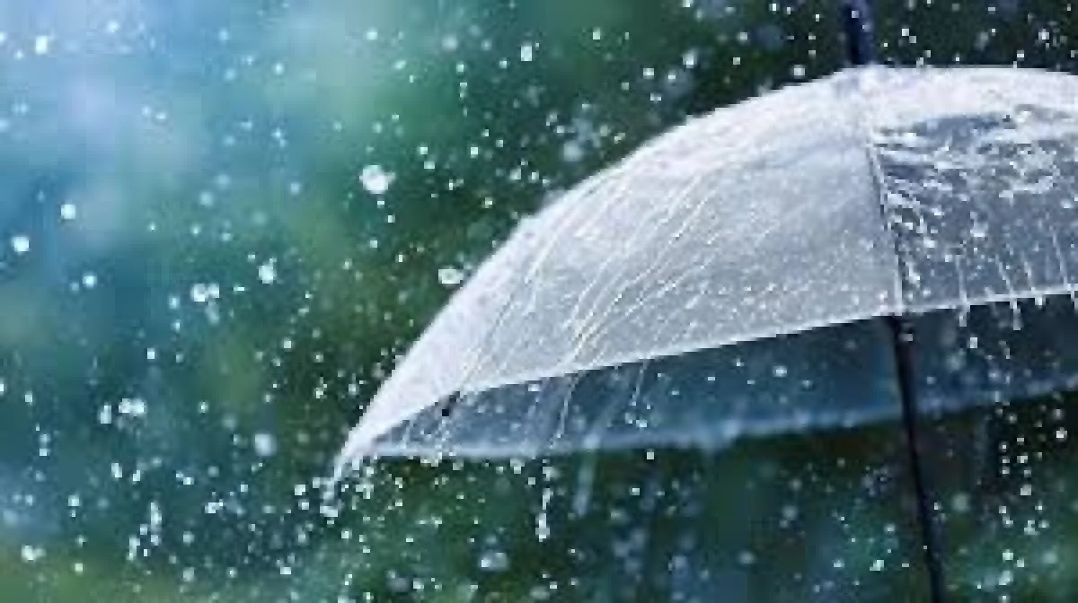 Meteoroloji'den Doğu Karadeniz ve Doğu Anadolu İ&ccedil;in Kuvvetli Yağış Uyarısı