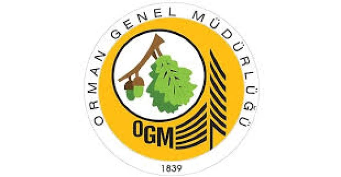OGM: 2022 yılından bu yana 17 bin 160 yeni personel göreve başladı