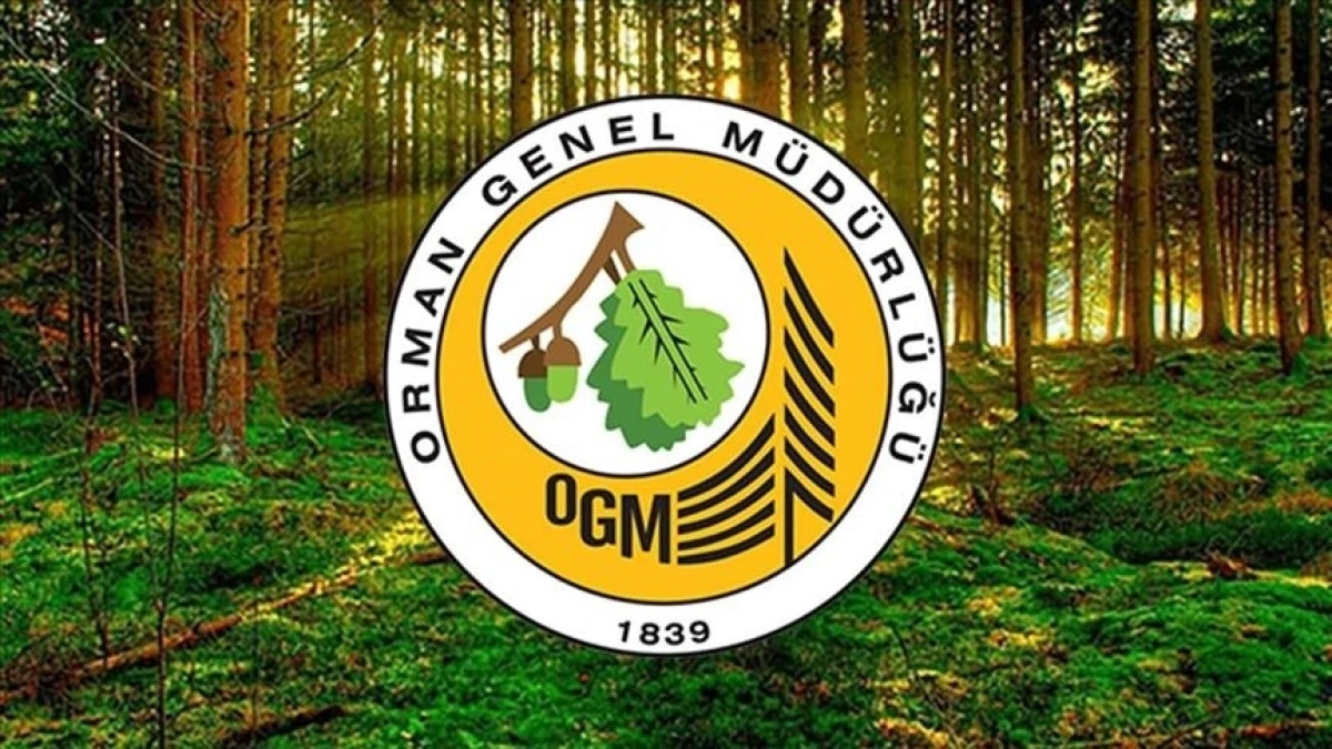 OGM’den 262 Daimi İşçi Alımı: Başvurular Başladı