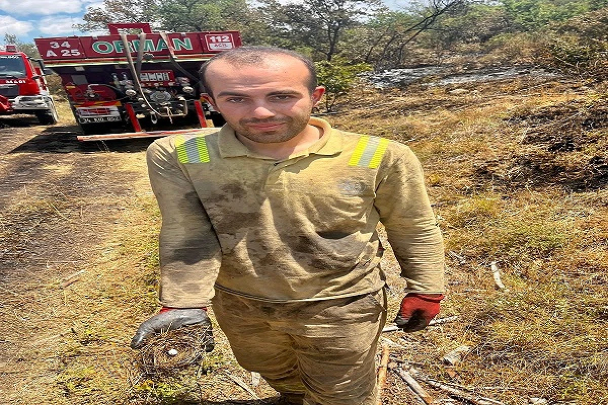 Orman yangınında ekipler hayvanlar için seferber oldu