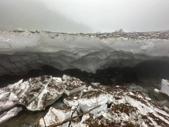 Rize - Fotoğraf çektirirken kar kütlesinin altında kalan kadın öldü