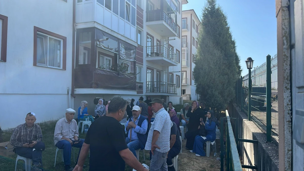 Sakarya Orman İşletme Müdürlüğü'nün deposunda yangın; ormana da sıçradı