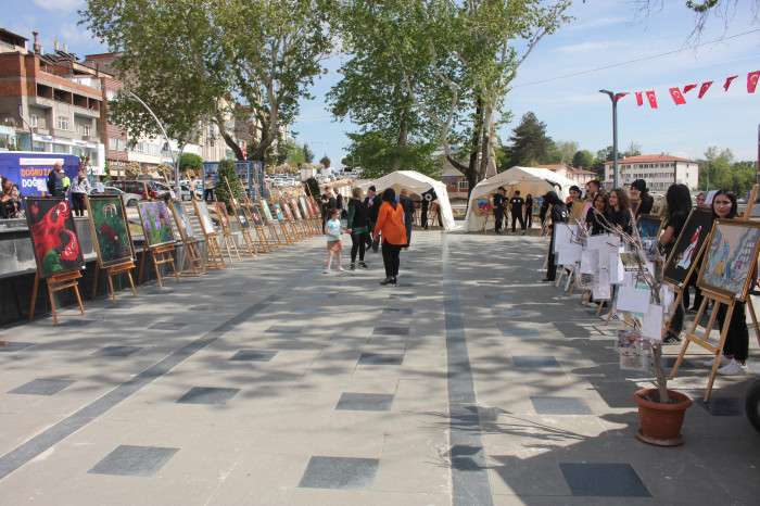 Suluova ilçesinde depremzedeler yararına Sesini Duyan Var temalı resim sergisi açıldı