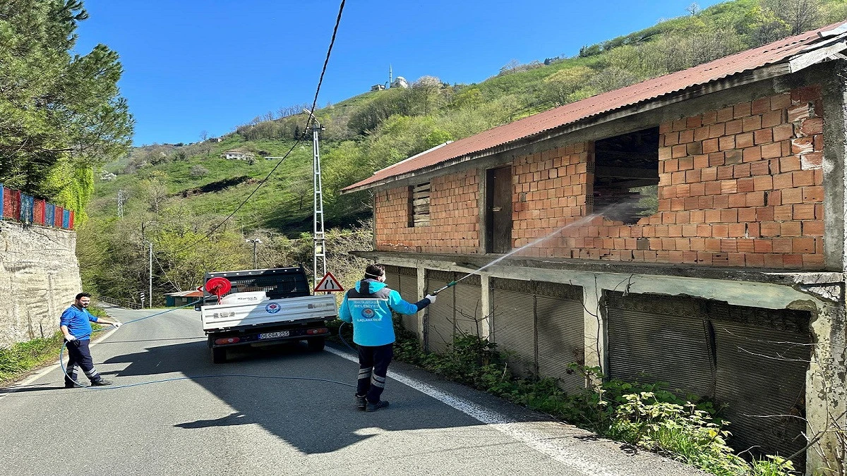 Tabzon&rsquo;da Kahverengi Kokarca Seferberliği: B&uuml;y&uuml;kşehirden Dev Destek!