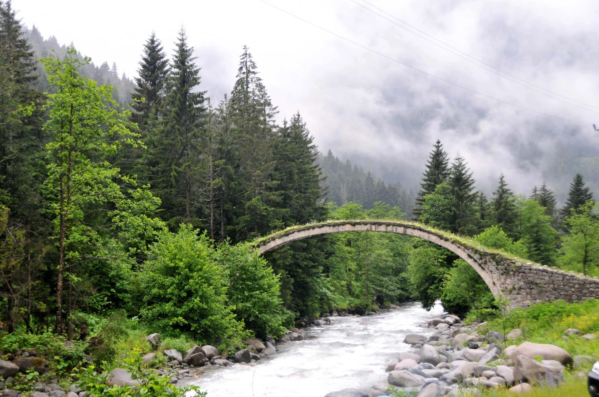 Trabzon-'Ekolojik sistem iklim krizine ayak uyduramıyor'