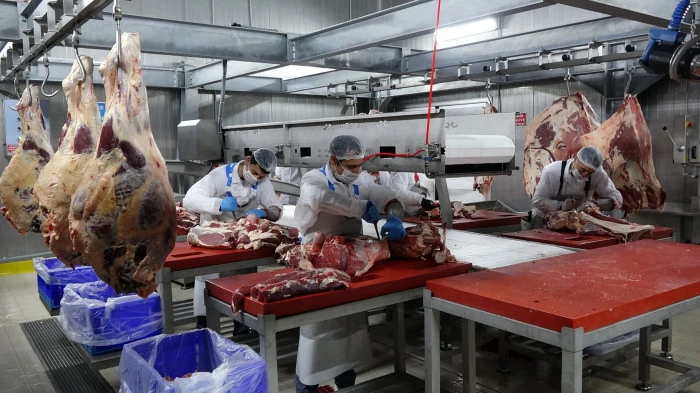 Trabzon - 'Kurban eti'ni sebzeyle tüketim önerisi