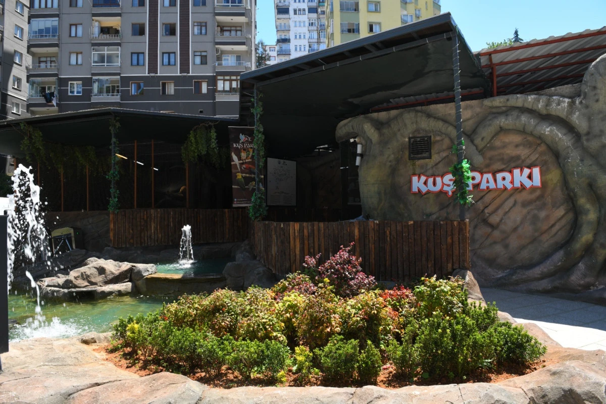 Trabzon Kuş Parkı Yeniden Ziyarete A&ccedil;ıldı! İşte Giriş Saatleri ve Kuş T&uuml;rleri