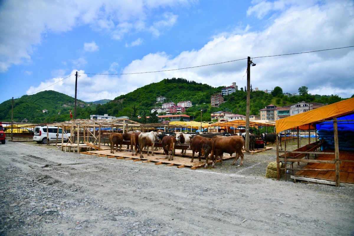 Trabzon, Ortahisar'da kurbanlık sahaları ve kesim alanları hazırlanıyor