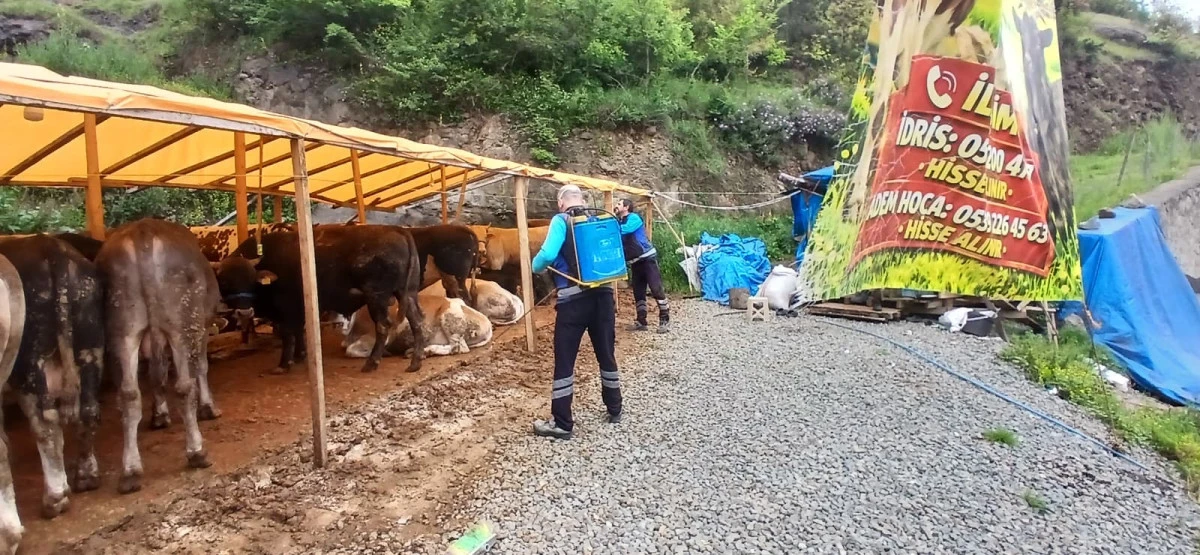 Trabzon'da Kurban Pazarlarında Seferberlik! Ekipler İla&ccedil;lamaya Başladı