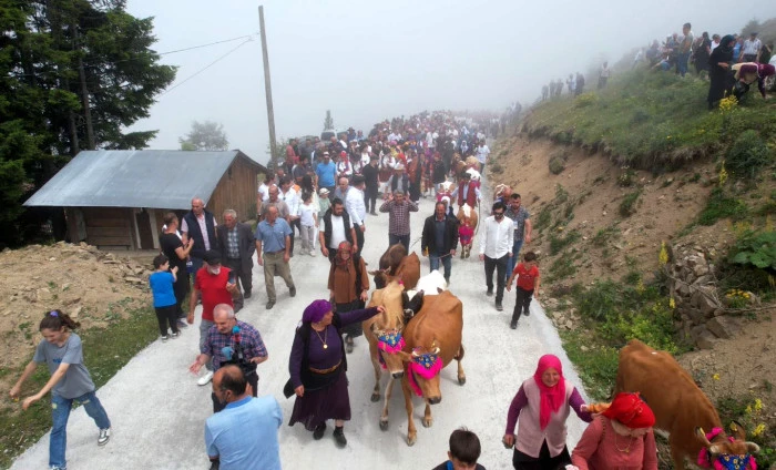 Trabzon'da süslü hayvanlar ve yöresel kıyafetlerle geleneksel yayla göçü