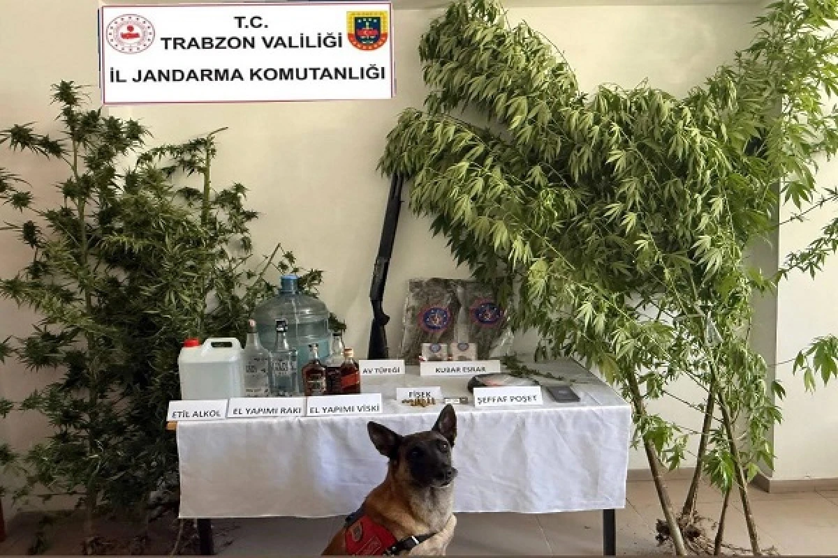 Trabzon’da Uyuşturucu ve Kaçakçılığa Geçit Yok: 1 Haftada 126 Gözaltı