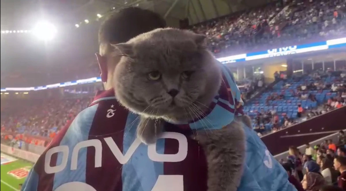 Trabzonsporlu Fanatik kedi ‘Tom’a maç izlemek için stadyuma vize